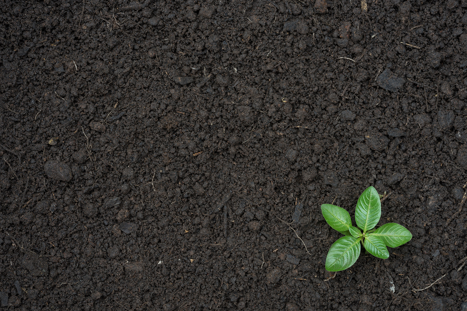 Potting soil bags at KB Wood Products